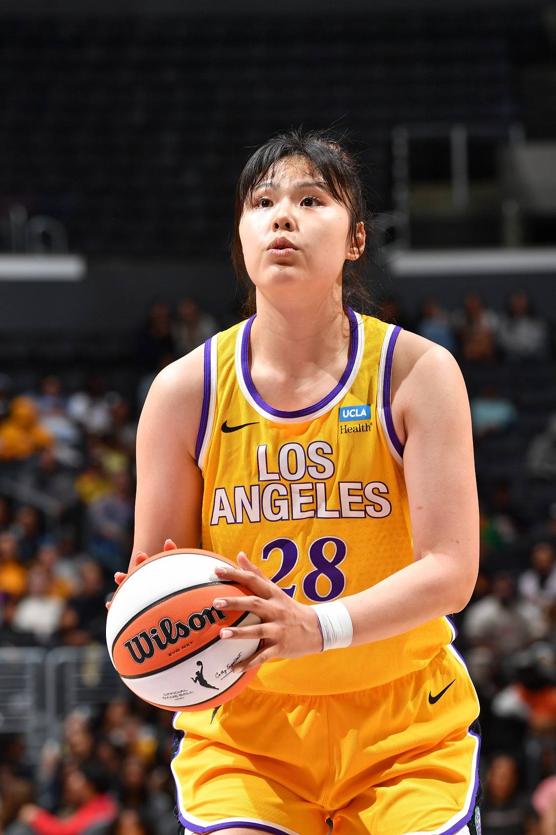  夏洛特黄蜂微博 